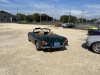 IMG_0610-Large