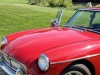 IMG_0642-Large