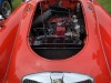 IMG_4710-Large