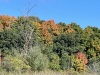IMG_4036